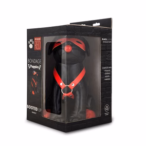 Booted Up Bandit – 2 Booted Up Bandit - 2