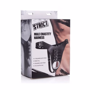 Chastity Harness for Men - 2