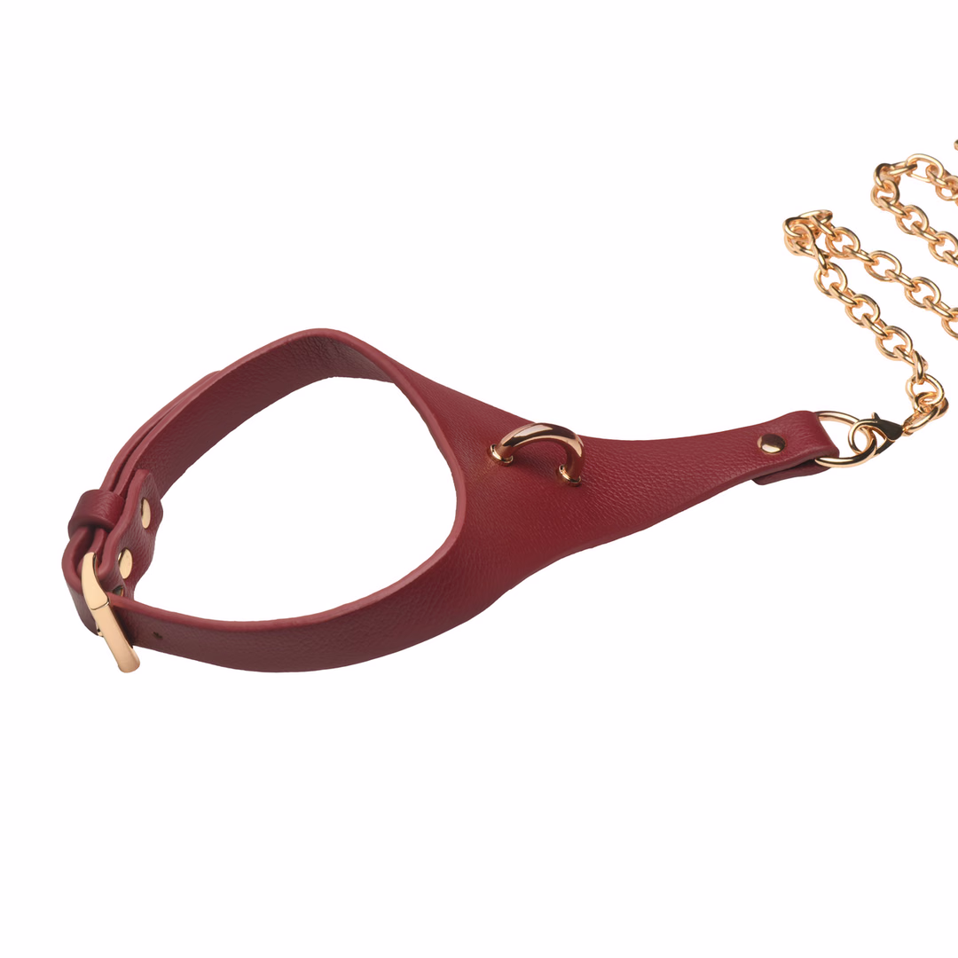 Captivate - Collar with Body Chain - Red/Golden - 4