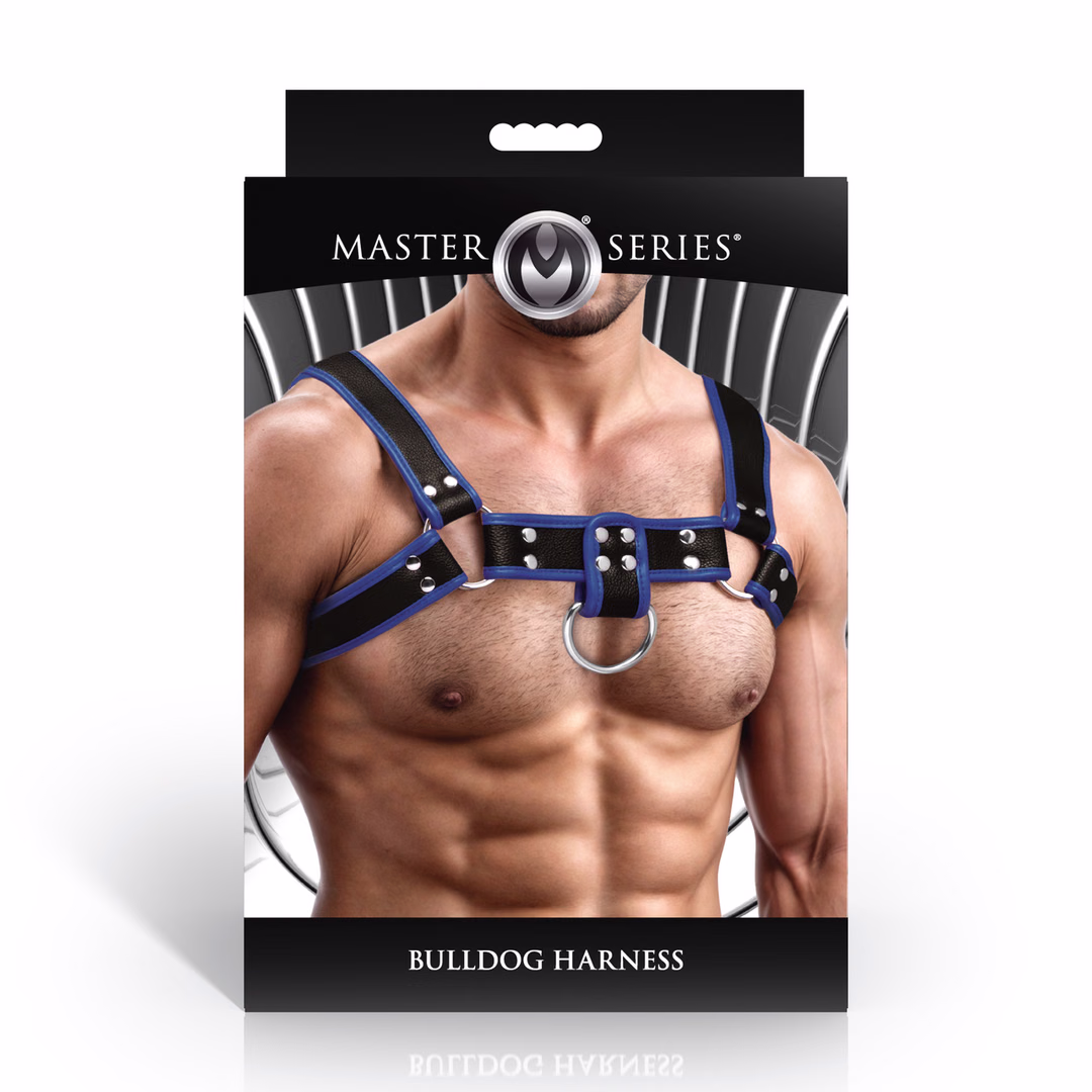 Bulldog Harness - Blue - 3
