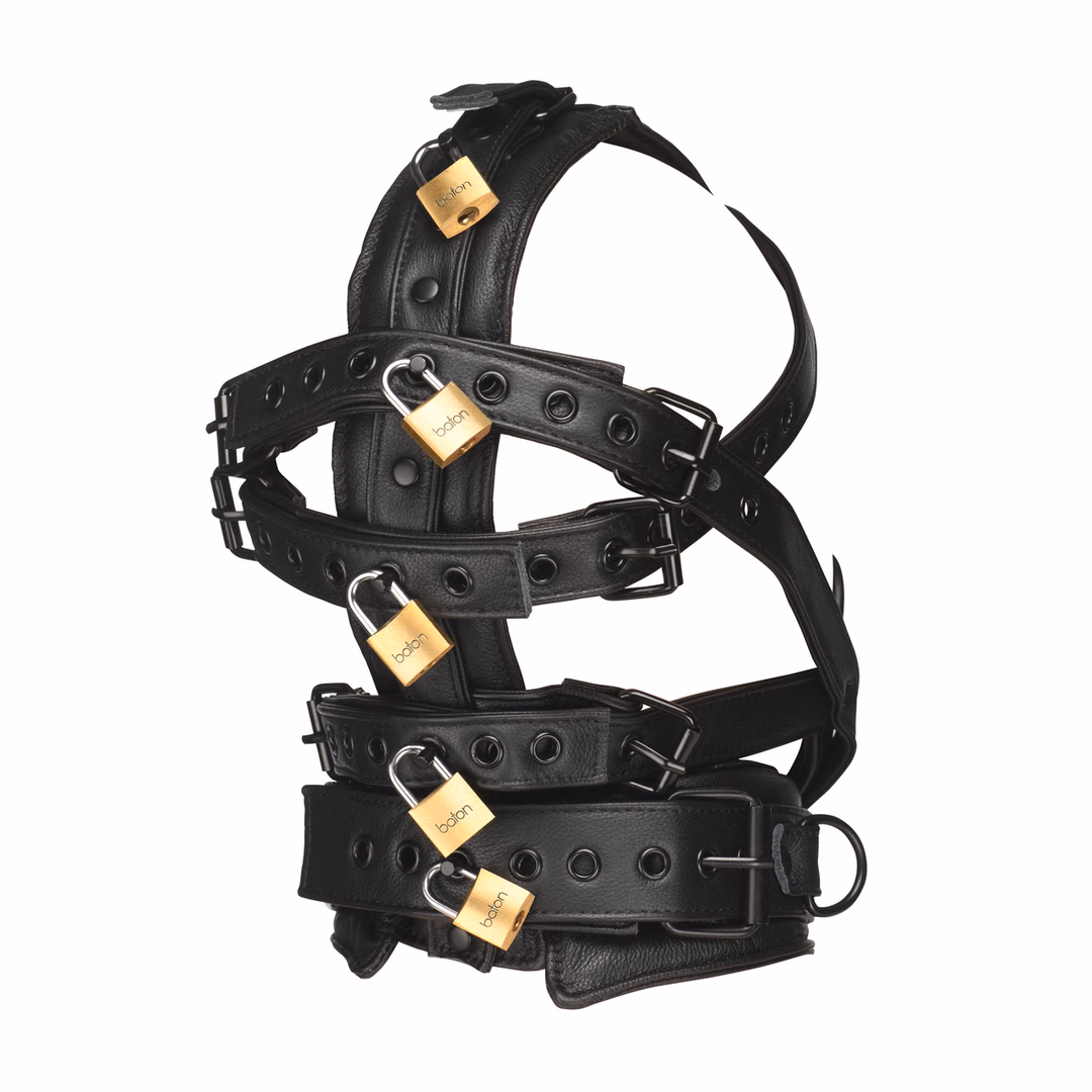 Leather Head Harness with Muzzle - Black - 4