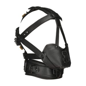 Lockable Head Harness with Muzzle - Black