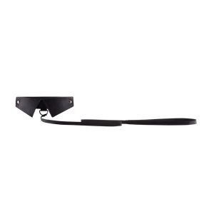 Exclusive Collar  Leash