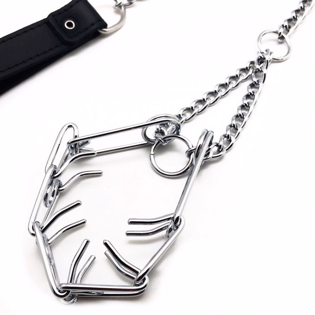 Leash with Choker for Penis - Black/Silver - 3