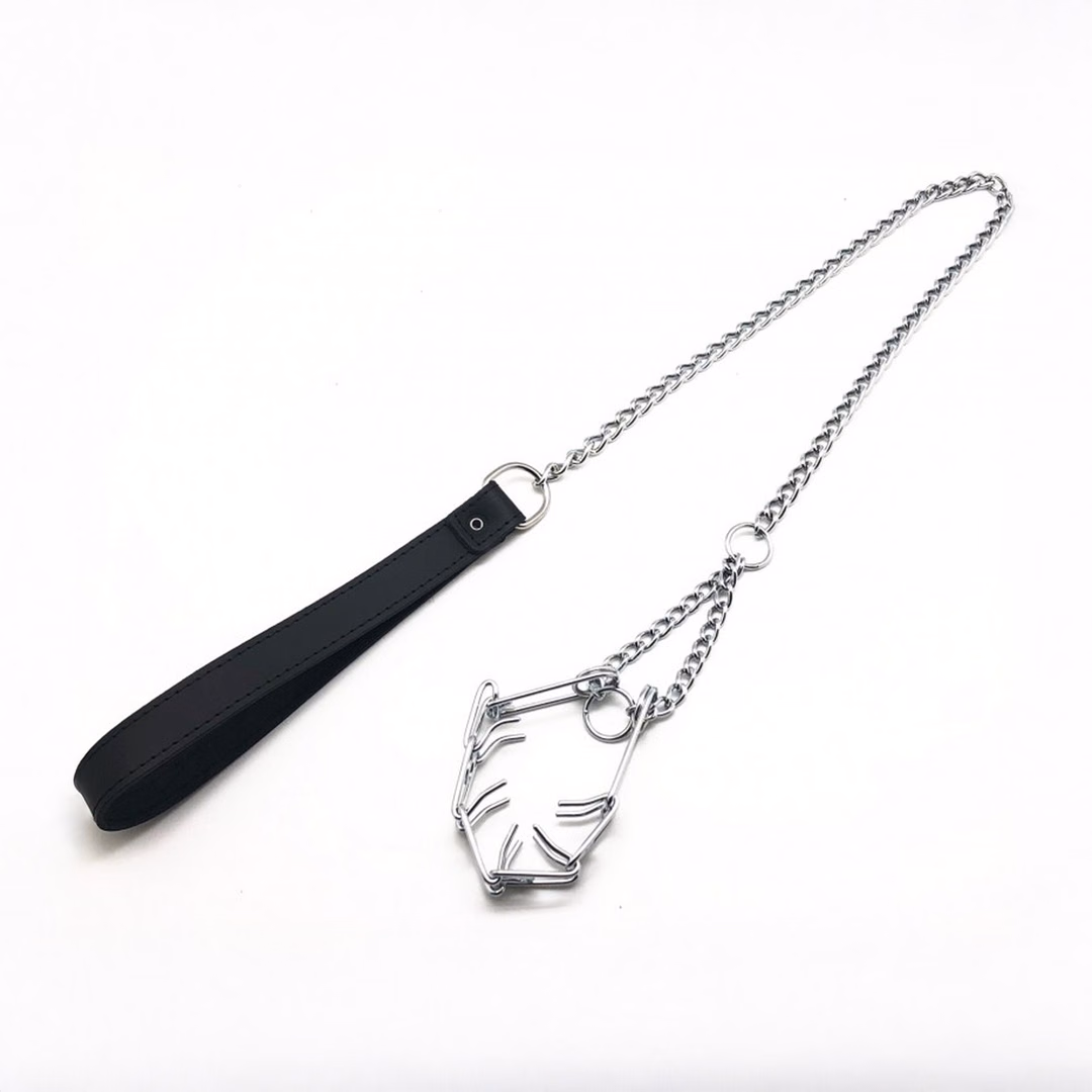 Leash with Choker for Penis - Black/Silver - 2