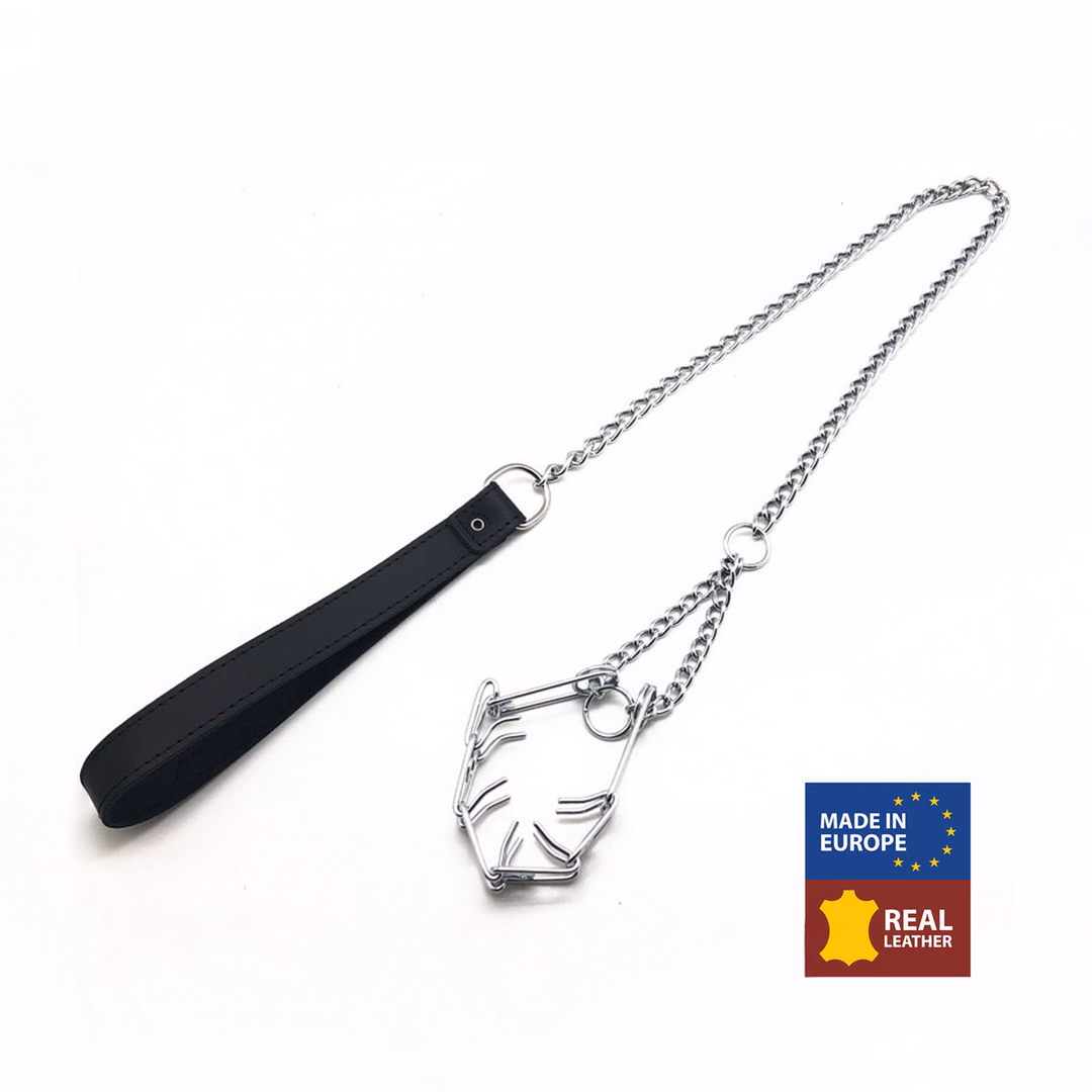 Leash with Choker for Penis - Black/Silver
