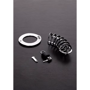 The Spiked Chasity Cage - 2