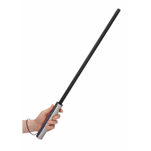 Cane with Stainless Steel Handle - 2